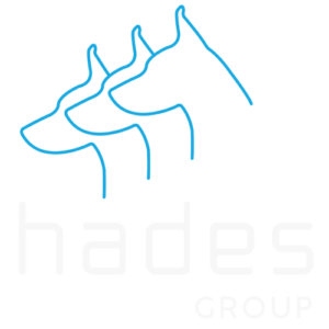 Hades Group Logo LS