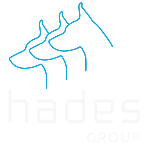 Hades Group Logo LS